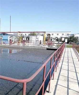 질화 박테리아 성장에 영향을 미치는 7가지 요인