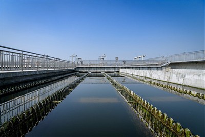 슬러지 중독의 2대 원인과 해결방안!