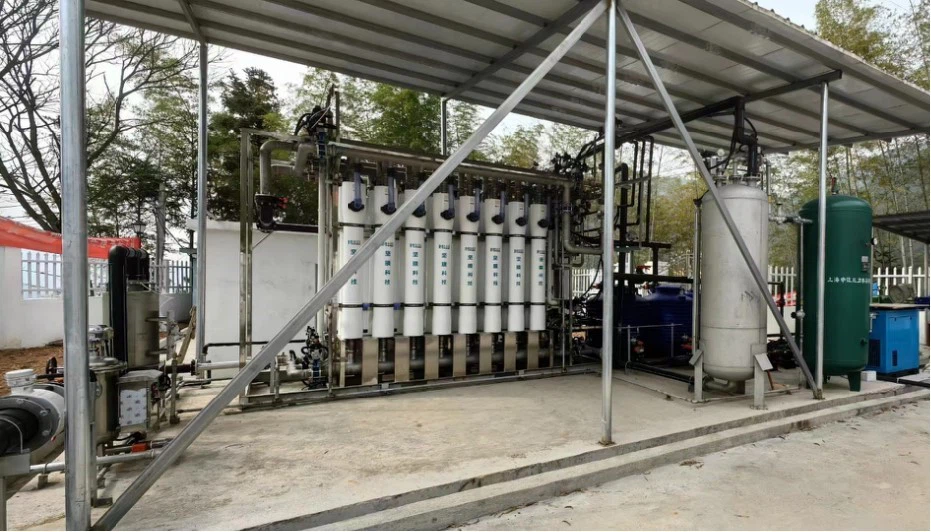 water plant water plant